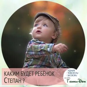 Судьба степана