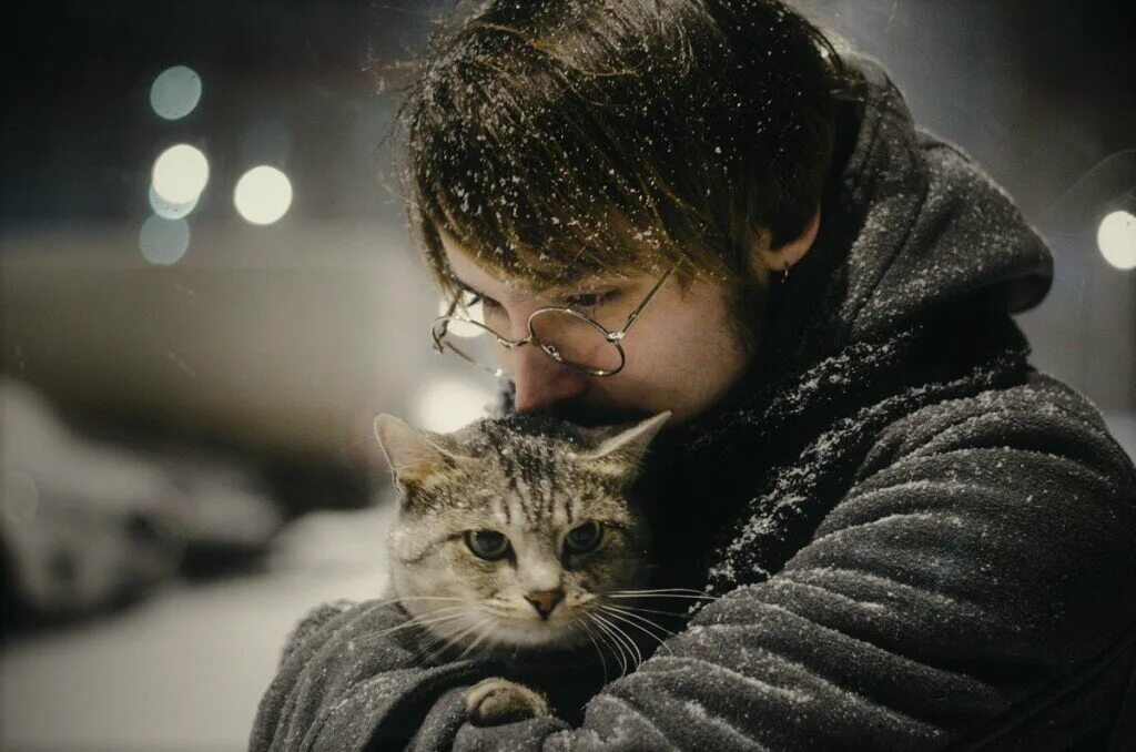 Песня человек и кошка