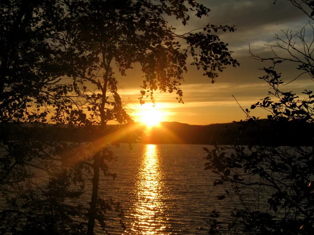 Озеро в сосновом лесу ленинградская область. Совсем в край. Стихи про кубань короткие для детей. Да вы что картинки. Западный край варкрафт.