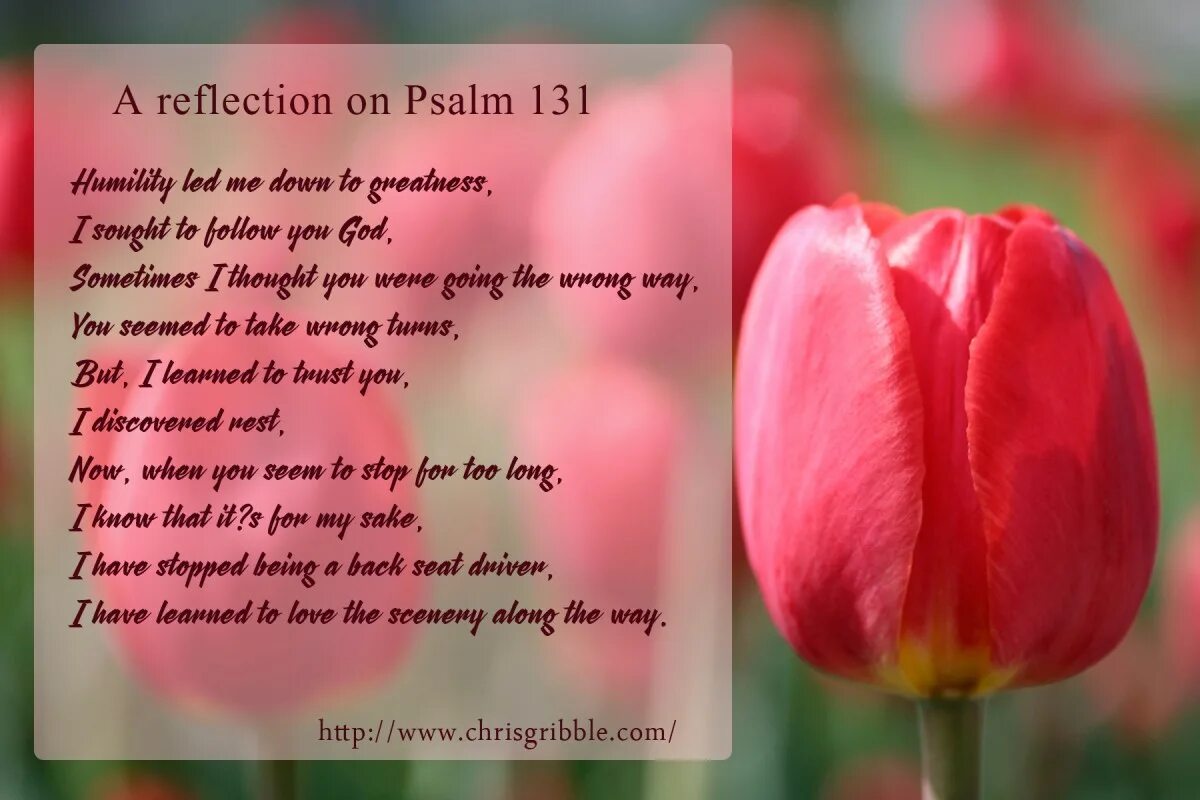 Псалом 131. 131 Псалом текст. Псалом 131 на русском языке читать. Psalm 53.
