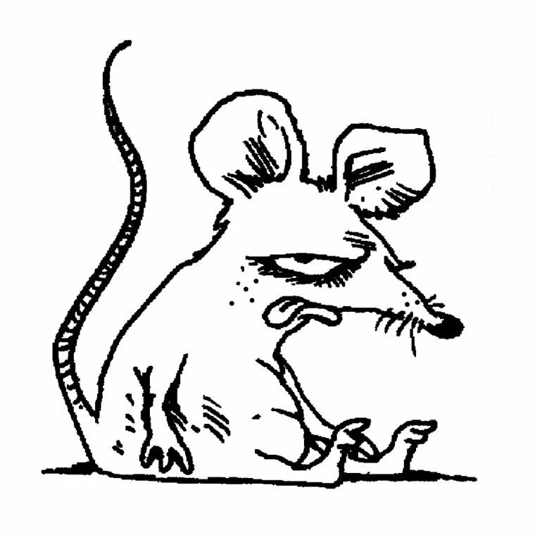 Мышь маркером. Мышь раскраска. Мышь черно белая. Мышка рисунок. Крыса рисунок.