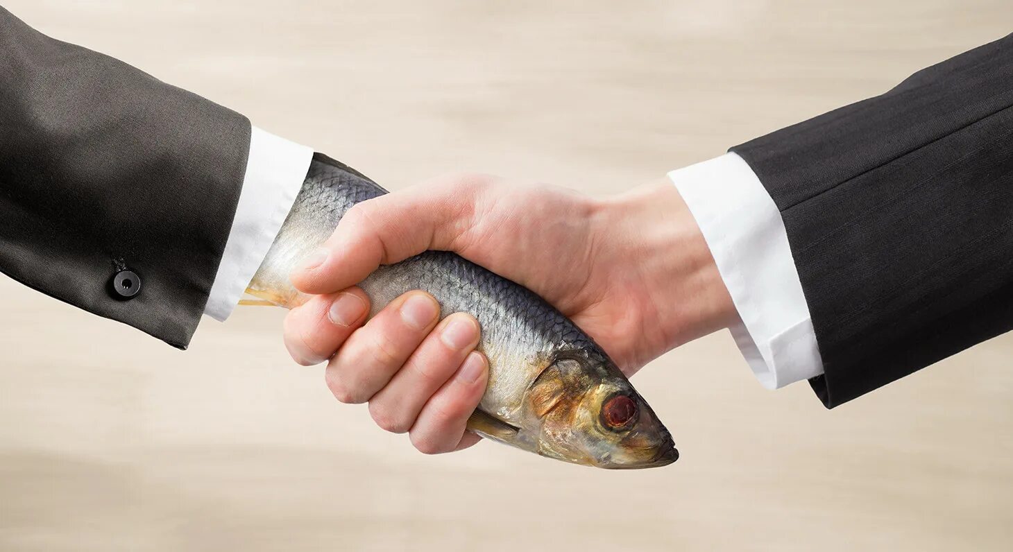 Мужик держит рыбу в руках. Рыбы бизнесмен. Декор "рыба". Щука и осетр отличия. Рыба.