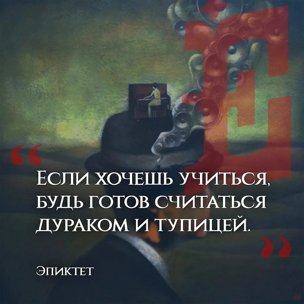 Считать дураком. Занудство афоризмы. Цитаты про дураков. Чем ниже человек душой тем выше. Считать дураком.