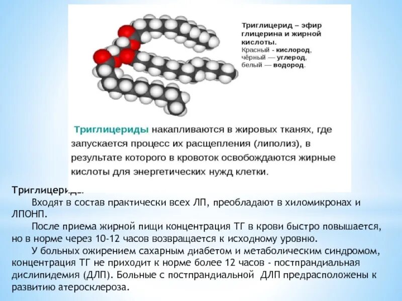 Повышенный холестерин и триглицериды в крови. Триглицериды. Триглицериды в крови. Повышение уровня триглицеридов. Структура триглицеридов.
