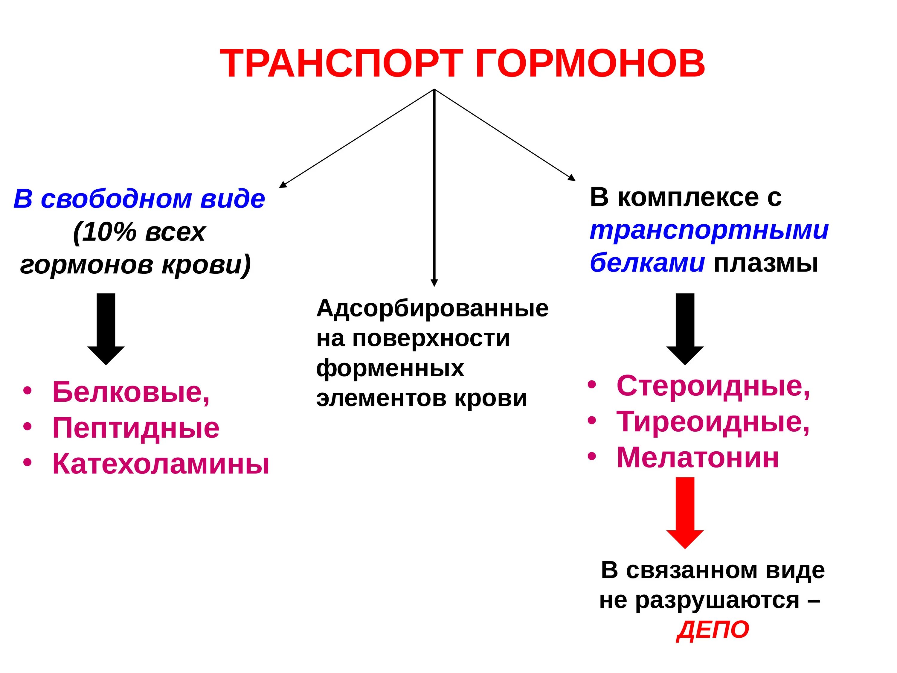 Механизмы транспорта гормонов кровью. Транспорт гормонов кровью биохимия. Схема транспорта гормонов. Формы транспорта гормонов физиология. Гормона расширяющие