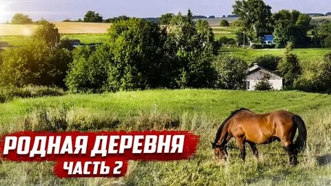 Погода ушаково орловская