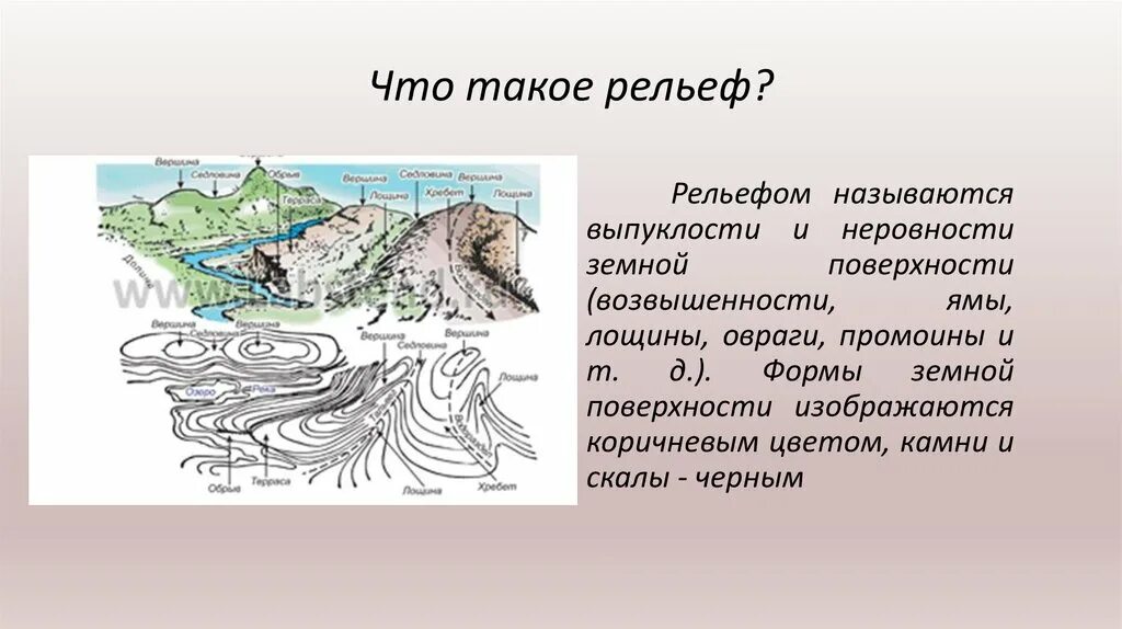 Урок рельеф 5 класс. Формы рельефа. Что такое рельеф в географии. Формы рельефа на карте. Исследование рельефа.