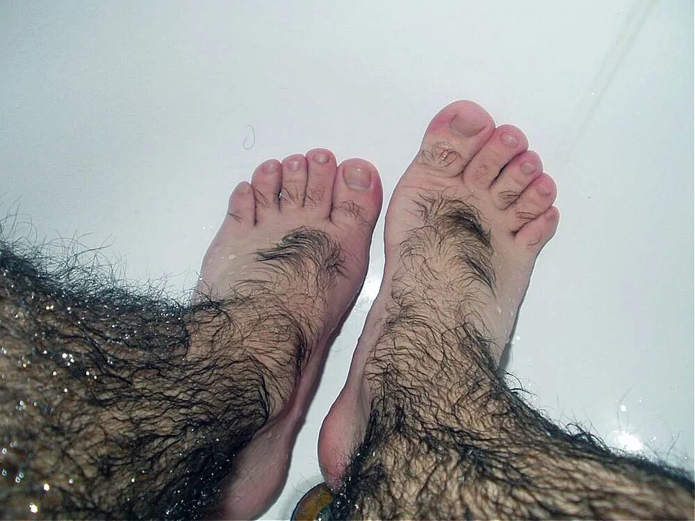 Hairy foot. Бородатые ножки.