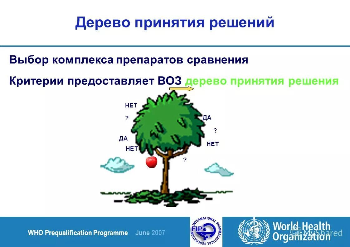 Дерево воз. Старое оливковое дерево турция. Осия колесник. Дерево словообразования. Иберийский дуб.