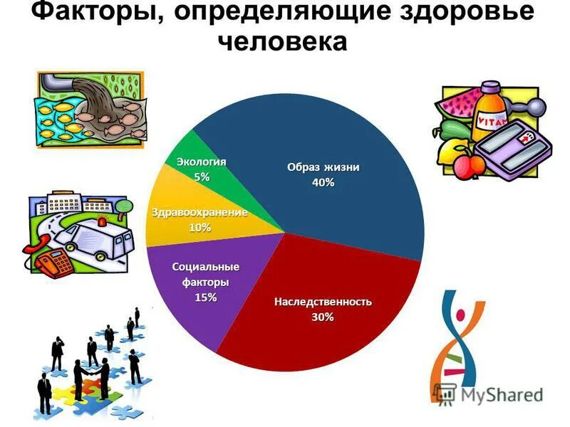 факторы определяющие здоровье человека как ценность. факторы определяющие здоровье человека как ценность. факторы определяющие здоровье человека как ценность. здоровье человека как ценность и факторы его определяющие. индекс развития грудной клетки.