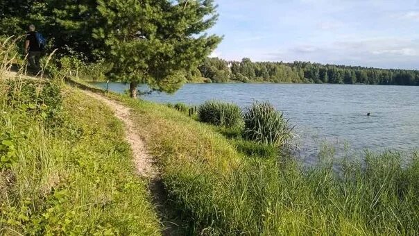 Жестовский карьер. Жестовский карьер. Пруд жостовский карьер. Деревня жостово московская область. Карьер жостово пляж.