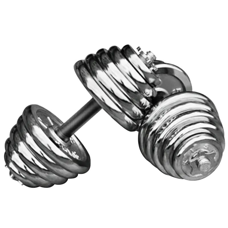 Набор гантель 30 kg Chrome Dumbbell. W20kg Chrome Dumbbell Set. Гантели Иванко Барбелл хром.