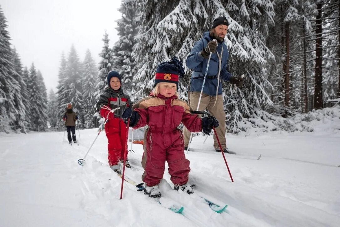 Катание на лыжах дети. Катание на лыжах в лесу. Дети катаются на лыжах. Прогулка на лыжах. Семья лыжников