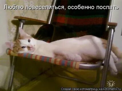 Откуда люблю повеселиться
