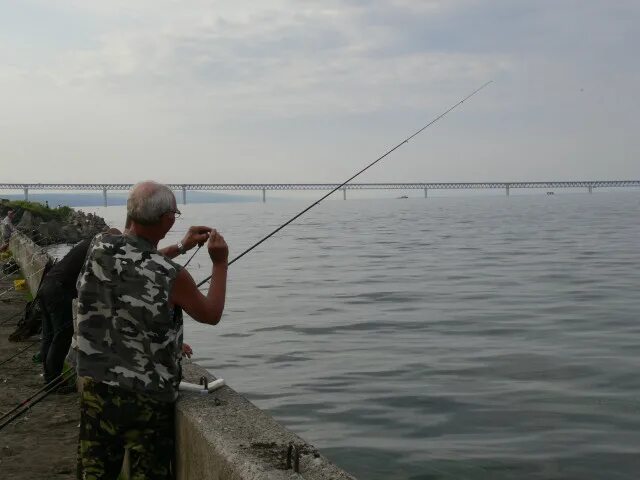 Рыбалка в ульяновске в контакте