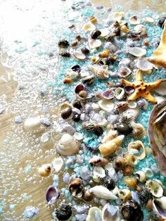 Ракушки в воде