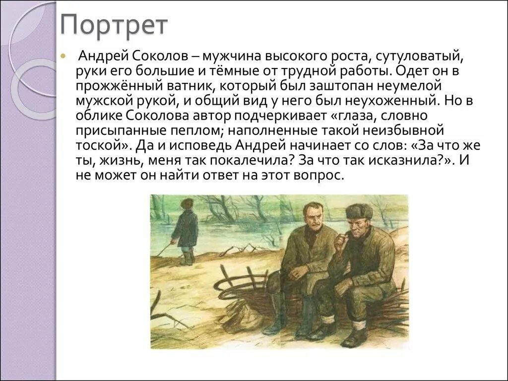 Характеристика андрея соколова кратко в рассказе судьба. Описание Андрея Соколова судьба человека кратко. Характеристика Андрея судьба человека.