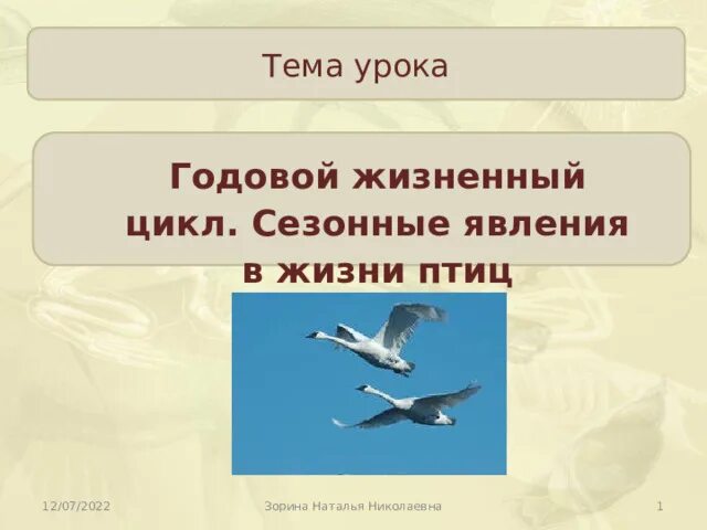 Годовой жизненный цикл птиц 7 класс. Годовой цикл жизни птиц. Сезонные явления в жизни птиц. Годовой жизненный цикл в жизни птиц. Годовой жизненный цикл и сезонные явления в жизни птиц.