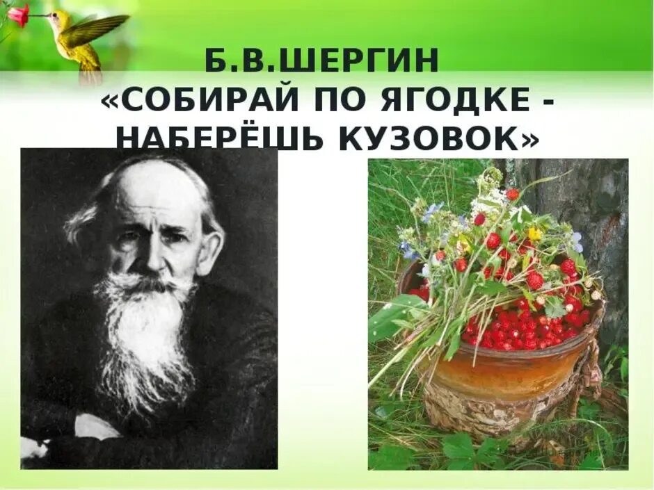 Б Шергин собирай по ягодке наберёшь кузовок. Сказка собирай по ягодке