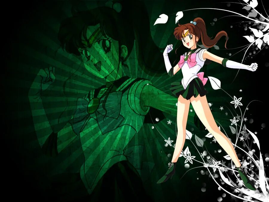 Sailor jupiter. Сейлор Юпитер. Персонажи Сейлор Юпитер. Вечная Сейлор Юпитер. Сейлор Юпитер темная.