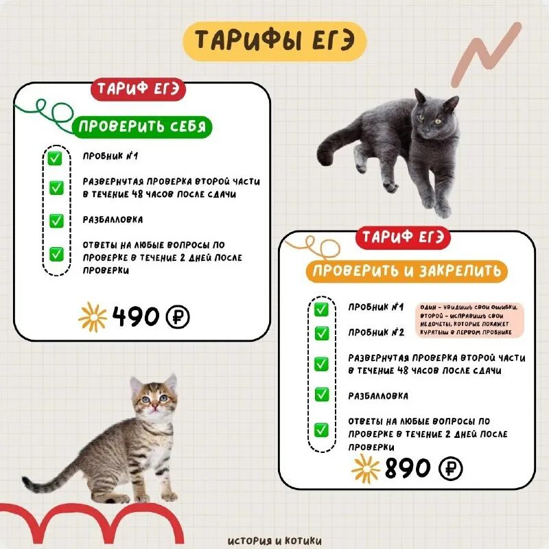 котик егэ. история котиков егэ. история котиков егэ. английский и котики егэ. приглашение на участие в благотворительности.