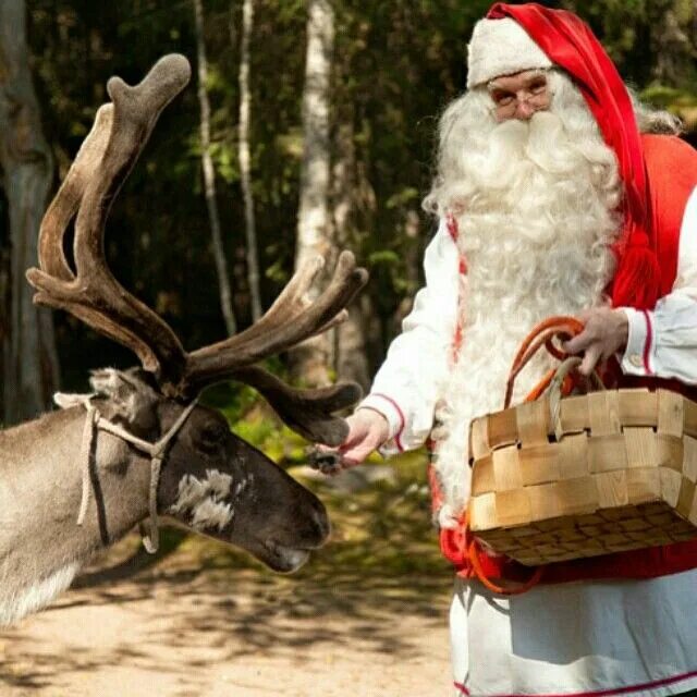 Финский йоулупукки. Финляндский дед Мороз йоулупукки. Олень Санта-Клауса.