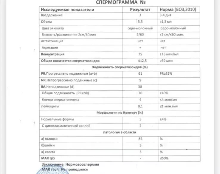 Результаты теста спермограммы. Показатели нормы спермограммы расшифровка. спермограмма расшифровка показателей. спермограмма норма расшифровка. mar тест спермограмма расшифровка норма.