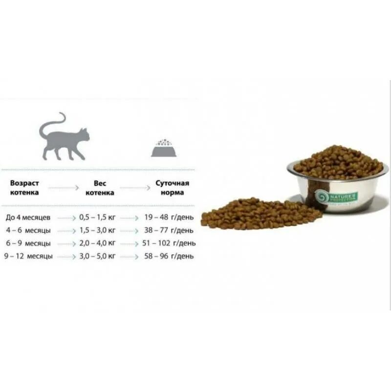 Как измерить вес кошачьего корма. Как измерить вес сухого корма без весов для собак. Вес 1 гранулы сухого корма. Как выглядит 100 грамм сухого корма для кошек. Количество корма для кота