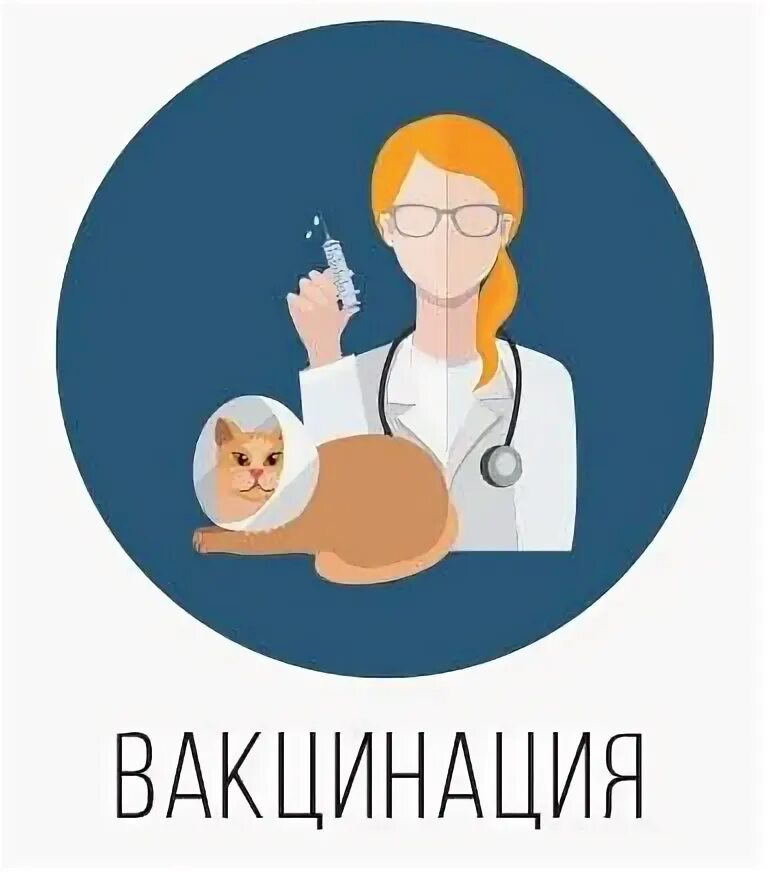 Вакцинация в ветклинике. Ветеринар планета свет