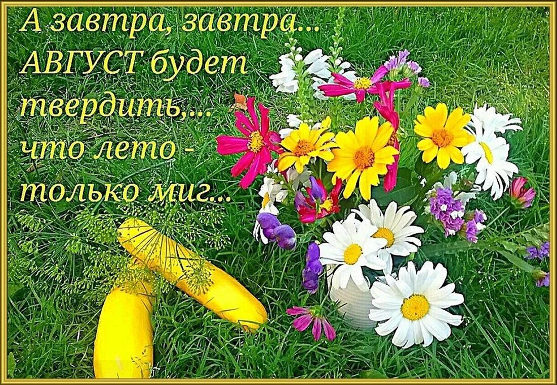С последним днем июня доброе утро картинки