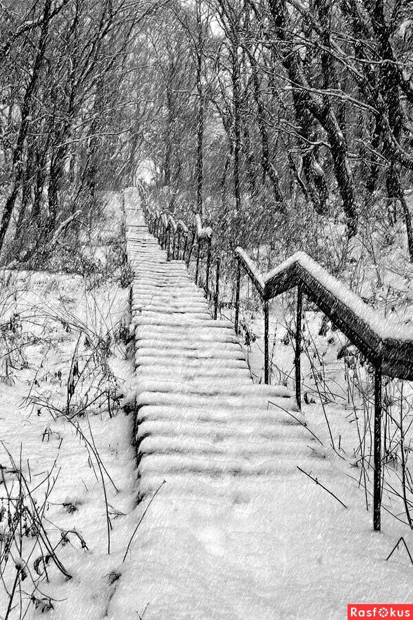 Зимние ступени. Черно белая картина лестница зимой. Фото черно белое зима лестницы. Фотография лестница и следы зима черно белая. Лес зима лестница картинки фото.