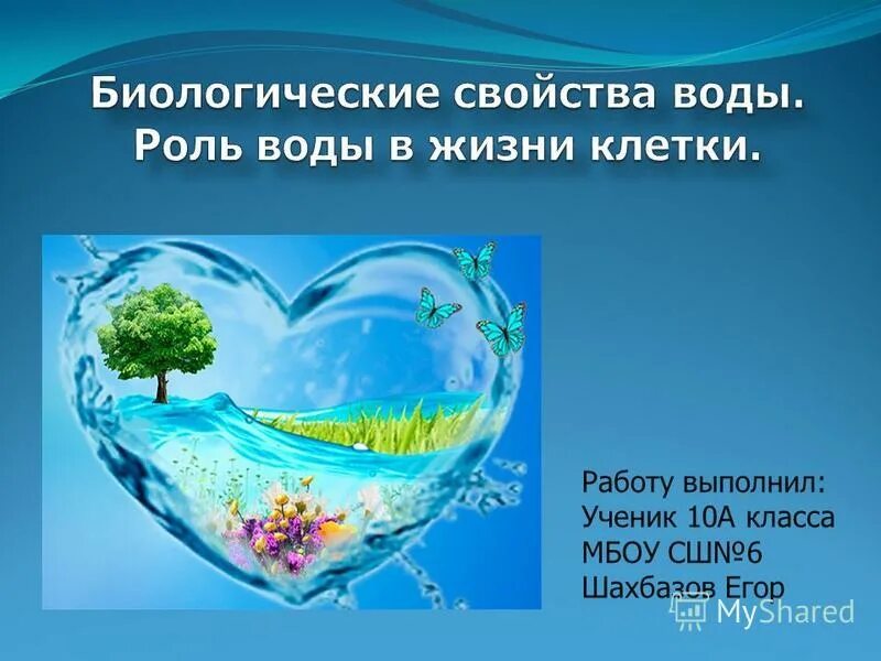 Роль воды. Вода источник жизни. Свойства воды для жизни. Биологические свойства воды. Основная роль воды