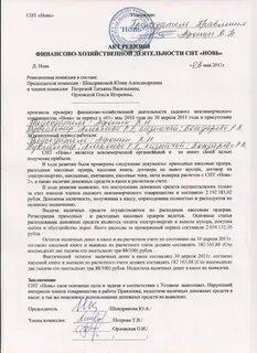 Аудит снт