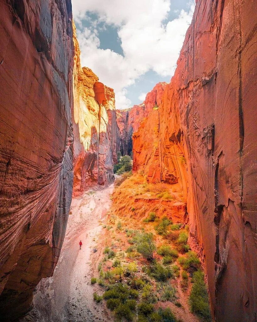 медный каньон (чиуауа, мексика). национальный парк медный каньон мексика. каньон коппер мексика. национальный парк медный каньон мексика. каньон коппер мексика.