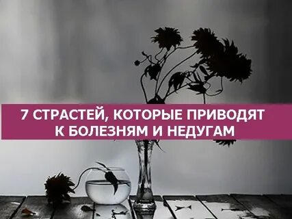Сканворд разжигатель страстей 7