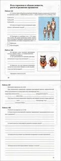 Читать учебник по биологии 8 класс драгомилов