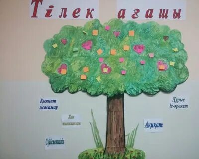 Саунадағы пизкалар