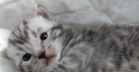 Включай хей малявка