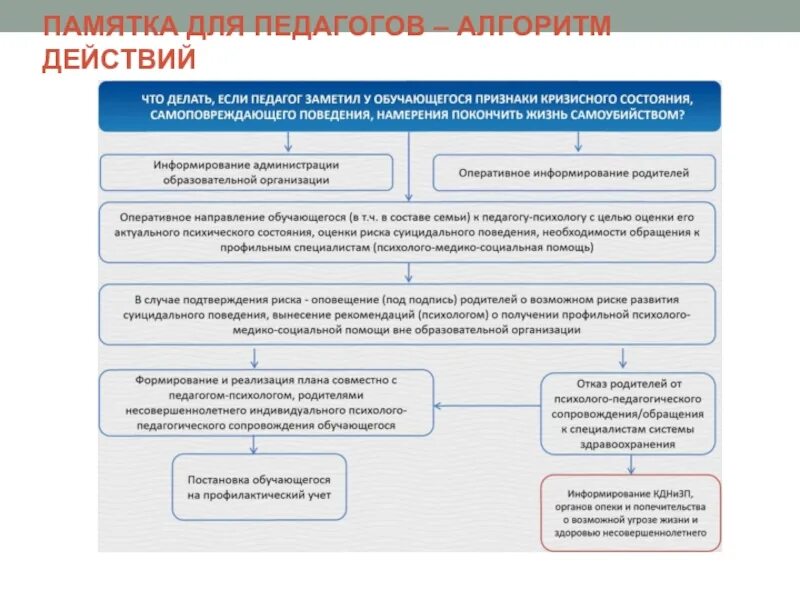 Алгоритм суицидального поведения. Алгоритм действий при выявлении суицидального поведения. Алгоритм действий психолога. Алгоритм работы с суицидальным поведением в школе. Алгоритм действий по профилактике суицидального поведения.