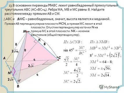 Расстояние между основаниями