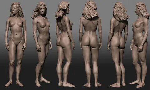 Naked female anatomy. 