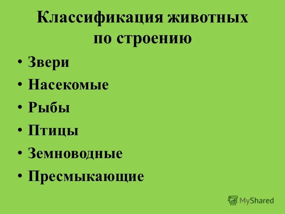 Классификация животных