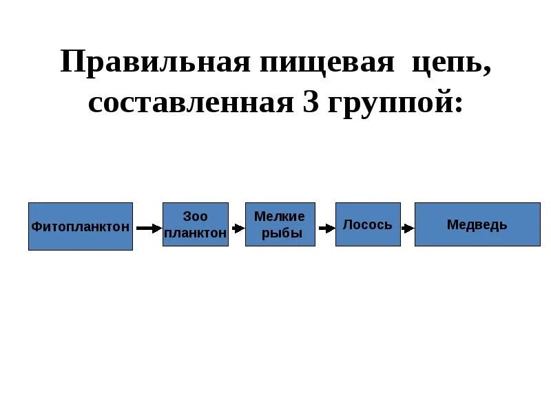 Потребителями могут быть в пищевой цепи. Правильная пищевая цепь. Правильно составленная пищевая цепь. Правильное составление пищевая цепь. Пищевые цепи 9 класс.