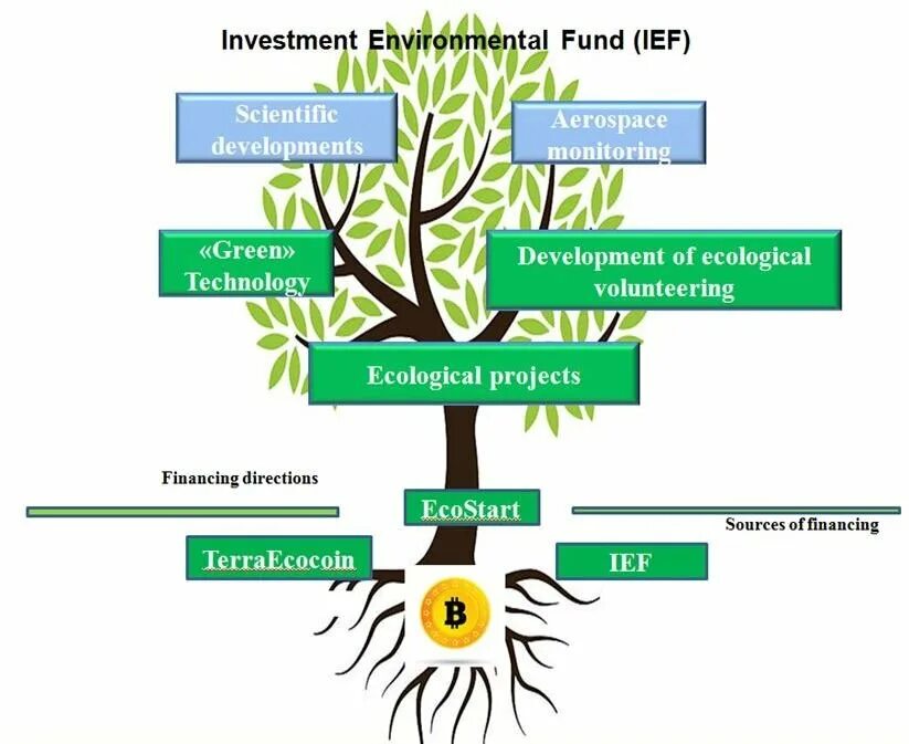 Проект экология. Таблица ecological problems. Environment and Environmental problems. Environmental problems таблица. Reading about ecology