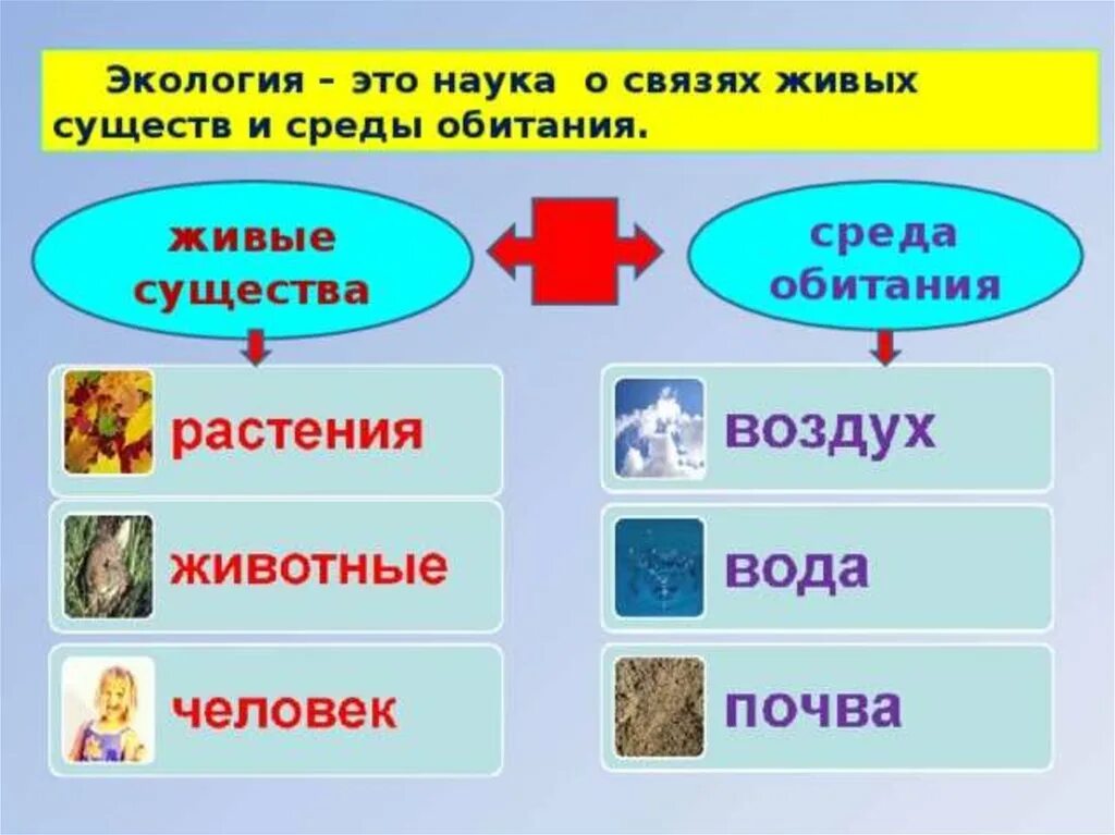 Живое существо таблица. Экология. Экология это наука. Экология наука о чем. Экологии это наука о взаимосвязи.