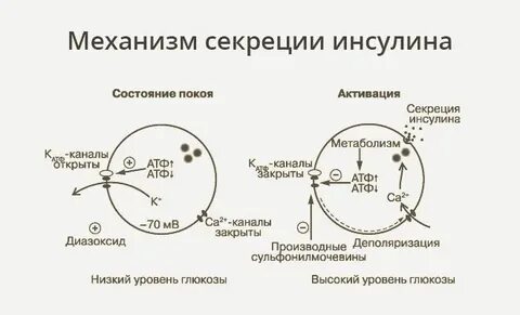Механизм статуса