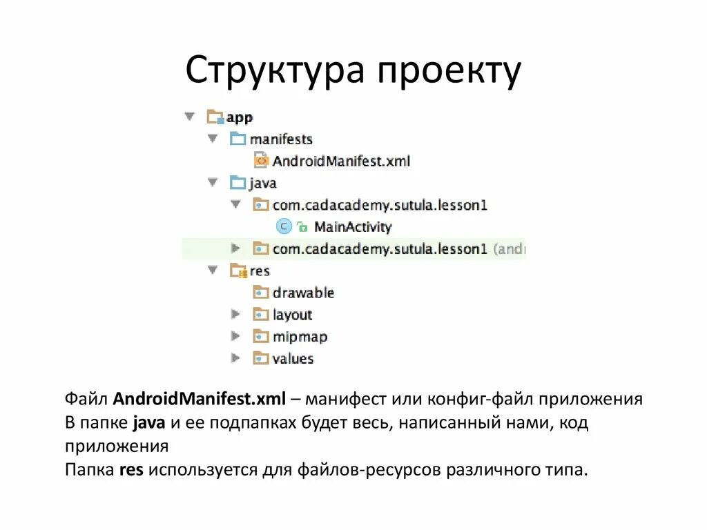Организационная структура проекта презентация