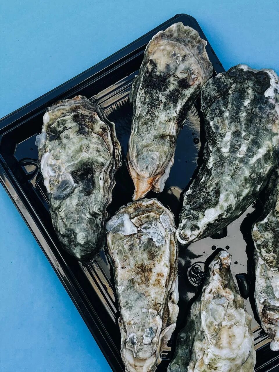 Икра сахалинский деликатес. Сахалинский деликатес. Икра лососевая деликатес сахалинский. Сахалинский деликатес. Икра лососевая путина сахалинский деликатес.