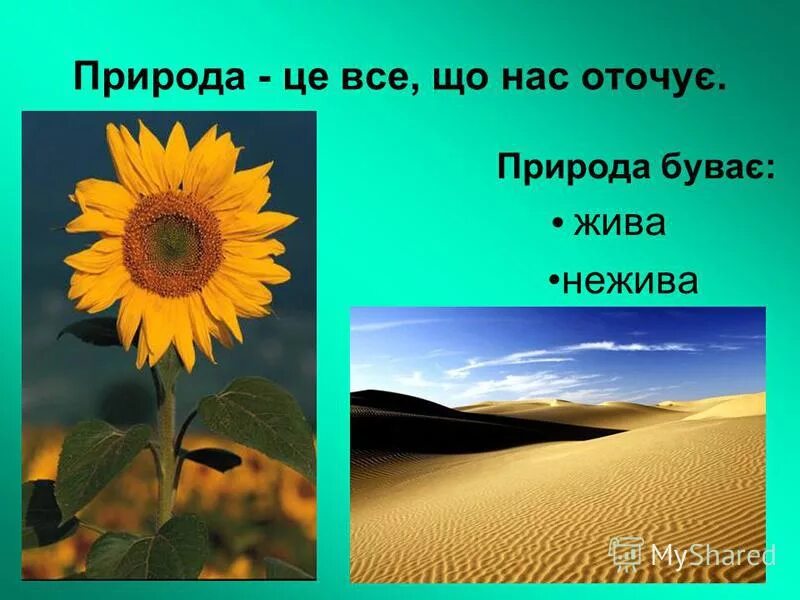 Неживая природа проекты. Жива та нежива природа. Проект неживая природа. Проект Живая природа. Что такое природа 5 класс.