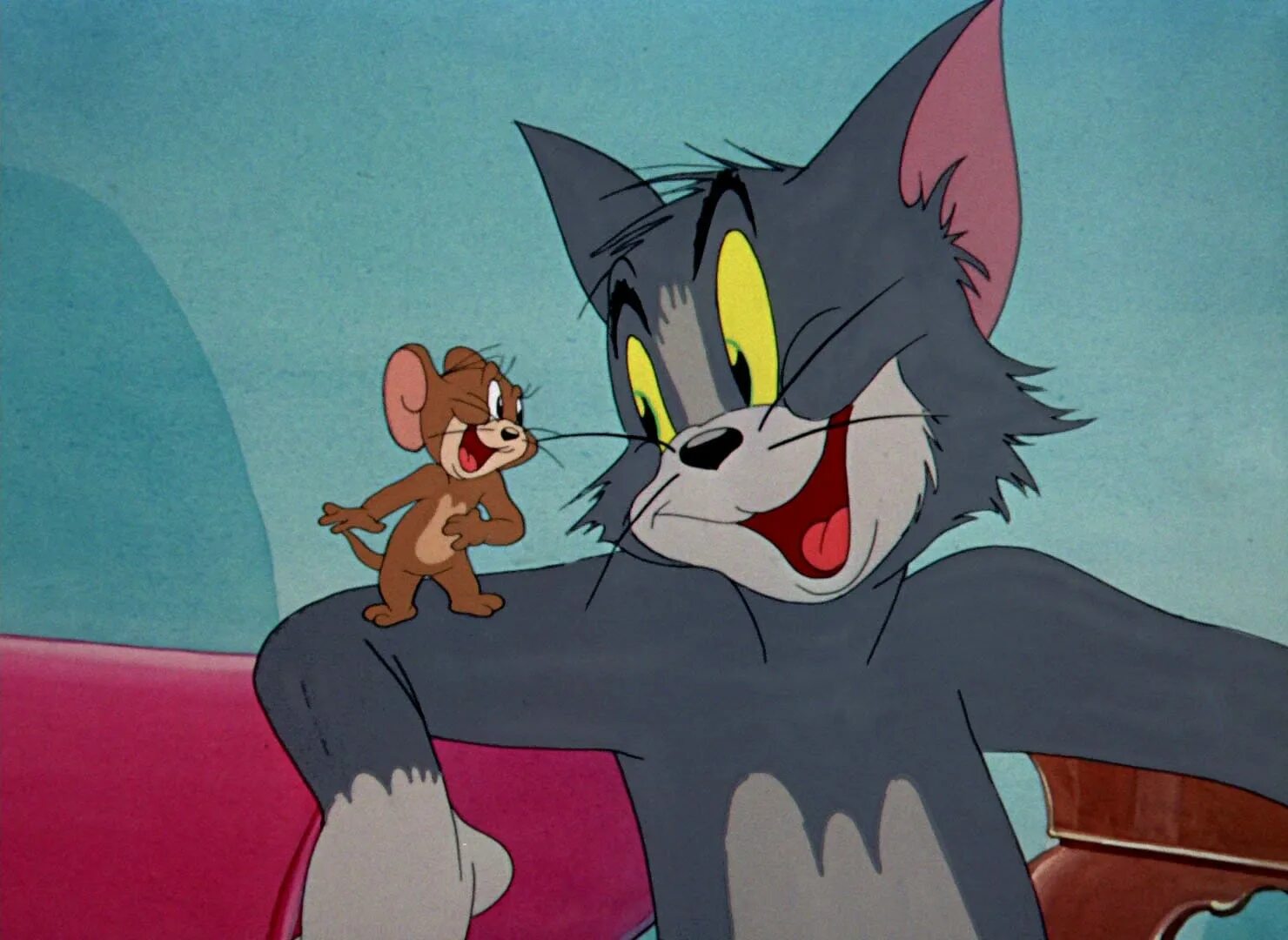 Том и. Tom and Jerry. Tom and Jerry на аву. Том и Джерри фото. Ава Тома и Джерри.